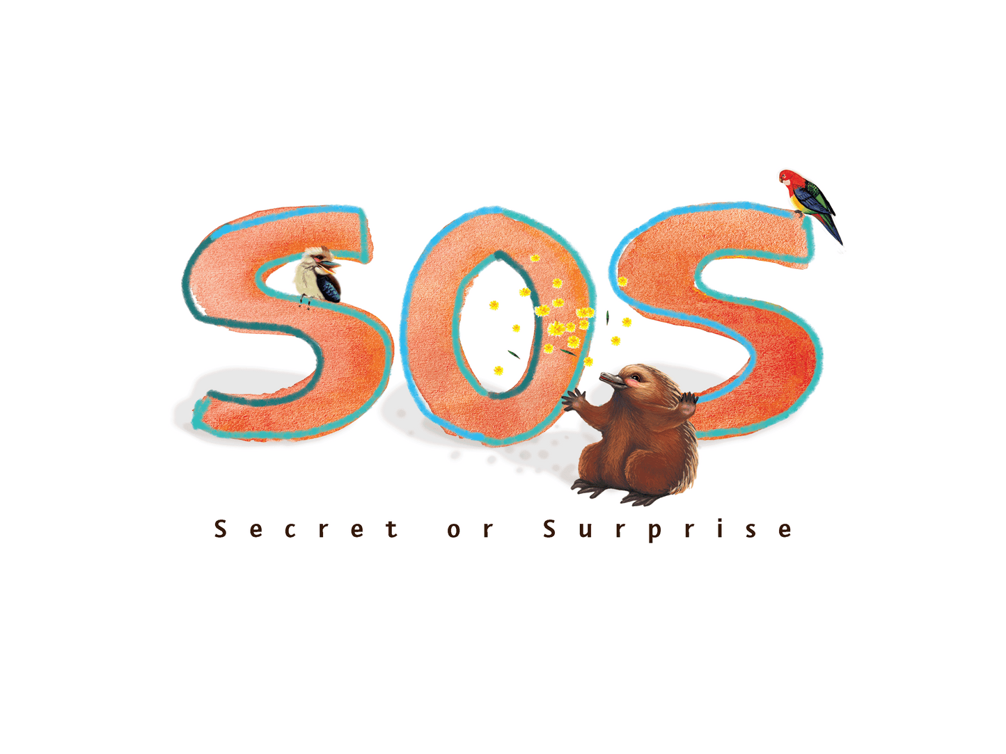Secret Or Surprise: The Book - Available Now!