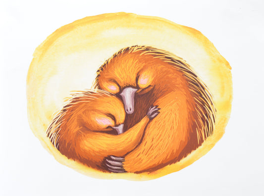 Father and child echidna demonstrating safety and connection